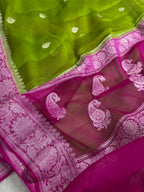 Lime Green & Rani Pink Pure Khaddi Chiffon Silk Banarasi Saree