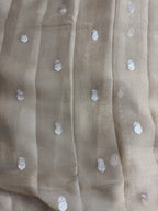 Pure khaddi Chiffon Silk Banarasi Border Booti 3d Saree