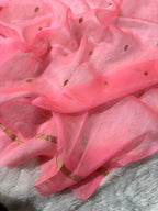 Light Peach Pure Kora Organza Silk Banarasi Saree