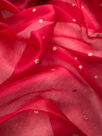 Red Pure Kora Organza Banarasi Saree