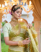 Rangkat Pure Chiffon Silk Banarasi Saree