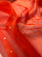 Orange Pure Kora Organza Banarasi Saree