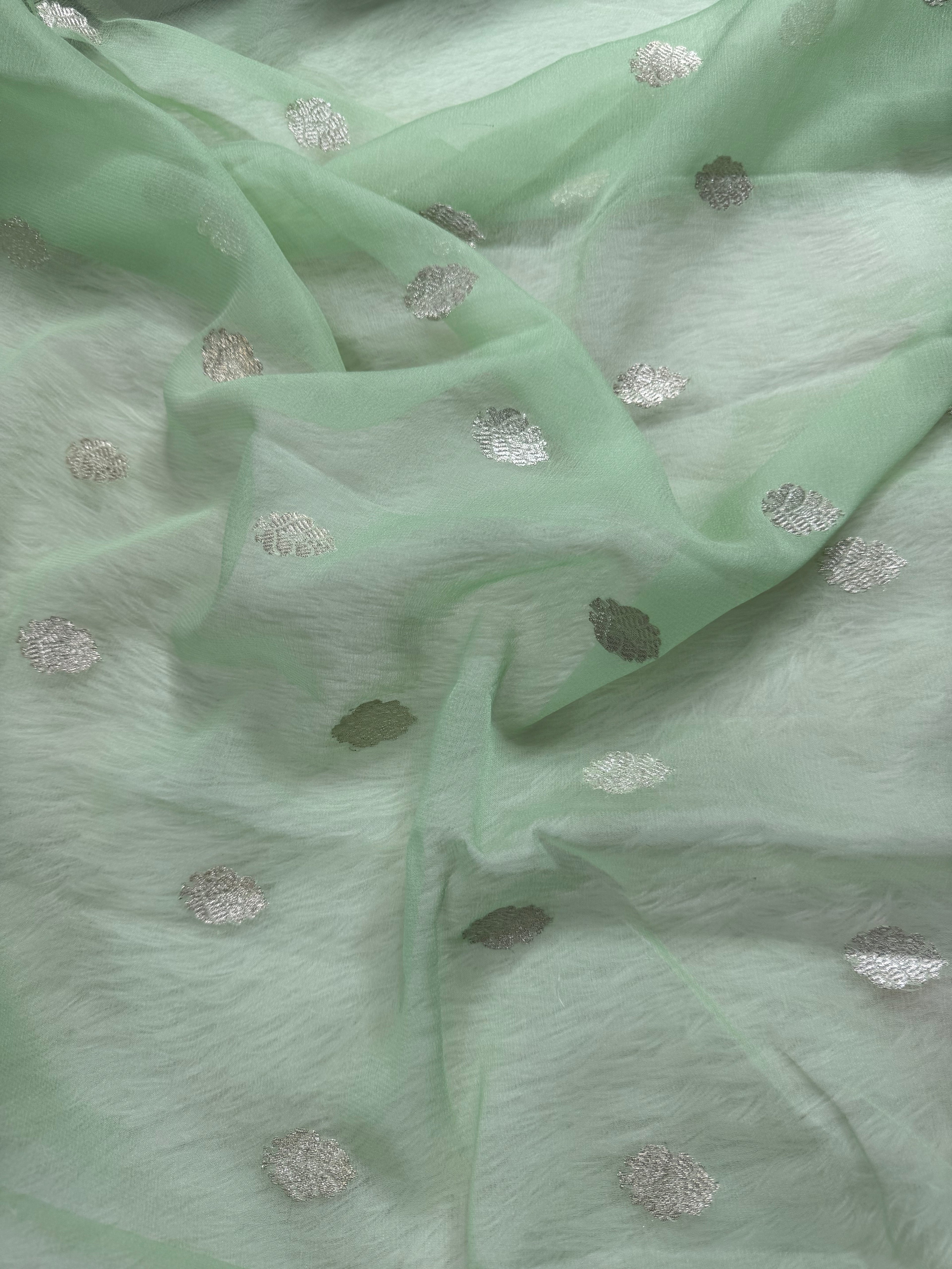 Light Pista Pure Khaddi Chiffon Silk Banarasi Saree
