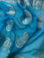 Pink & Firozi Pure Khaddi Chiffon Silk Banarasi Saree