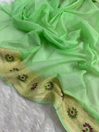 Pista Green Pure Chiffon Silk Banarasi Saree