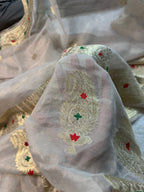 Natural Pure Khaddi Tissue Chiffon Water & Roopa Zari Meenakari Banarasi Saree
