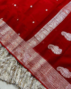 Red Pure Khaddi Chiffon Silk Banarasi Saree