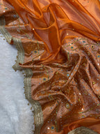 Orange Tissue Silk Banarasi Saree With Ghungroo & Mirror Work Designer Border Lace Saree