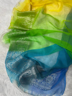 Rangkat Pure Khaddi Chiffon Silk Banarasi Saree