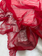 Royal Blue & Red Double Borders Pure Khaddi Chiffon Silk Banarasi Saree