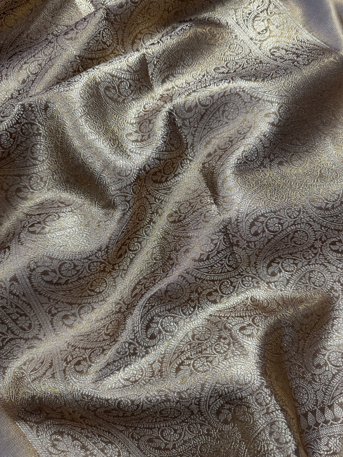 Champagne Gold Beautiful Mirror Lace Border Tissue Silk Banarasi Saree