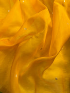 Mustard Yellow & Bottle Green Pure Kora Organza Silk Banarasi Saree