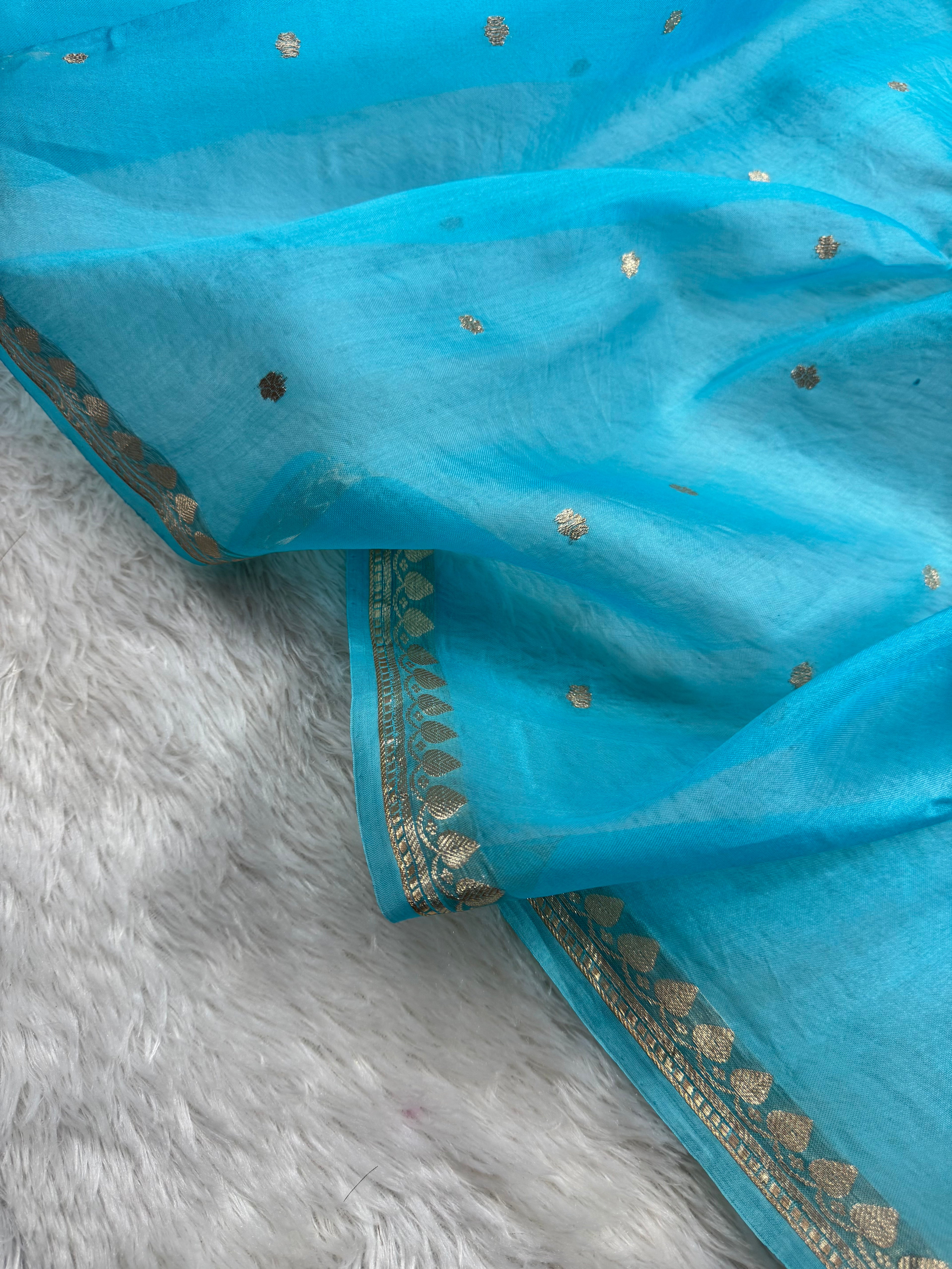 Sky Blue Pure Kora Organza Banarasi Saree