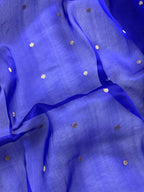 Royal Blue Pure Kora Organza Silk Banarasi Saree