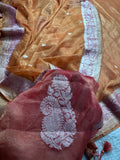 Pure khaddi Tissue Chiffon Silk Banarasi Border Booti 3d Saree