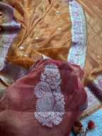Pure khaddi Tissue Chiffon Silk Banarasi Border Booti 3d Saree