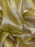 Lemon Beautiful Lace Border Tissue Silk Banarasi Saree