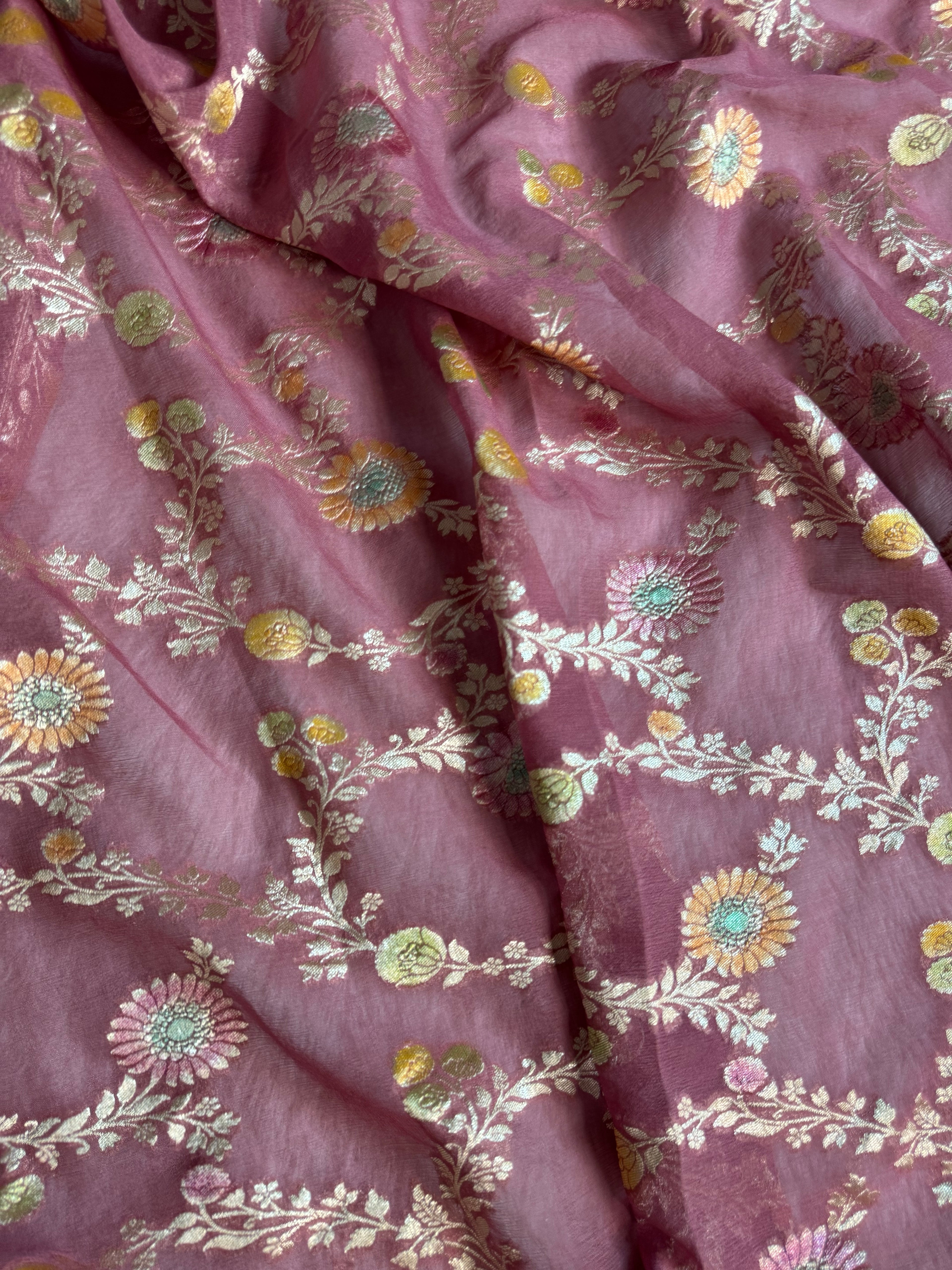 Pastels Handbrush Meenakari Pure Khaddi Georgette Silk Banarasi Saree