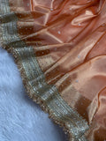 Peach Pearl Work Beautiful lace Border Tissue Silk Banarasi Saree