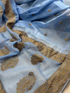 Powder Blue Pure khaddi Chiffon Silk Banarasi Saree