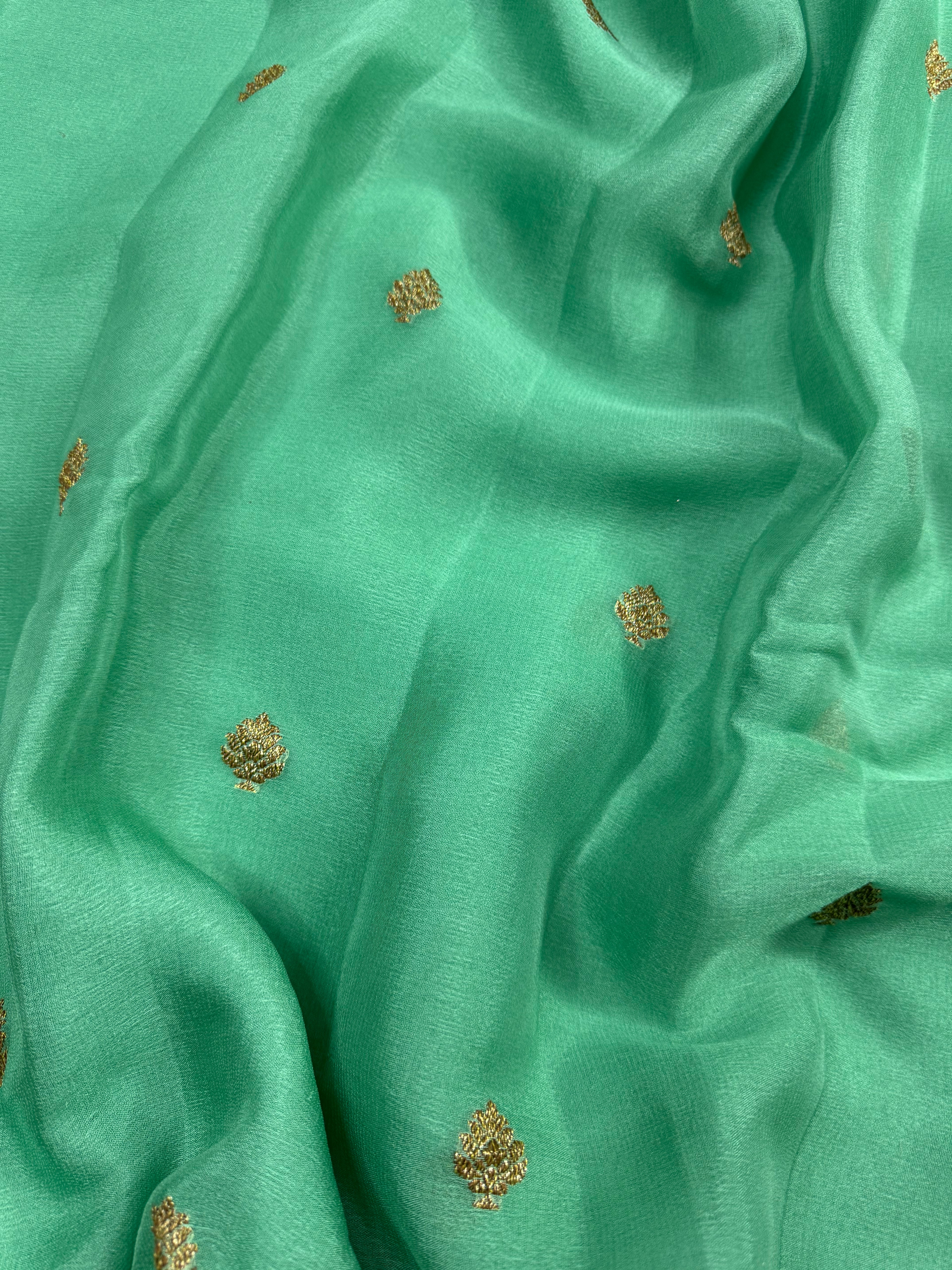 Pista Mint Green Pure khaddi Chiffon Silk Banarasi Saree